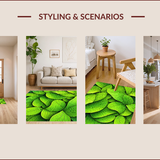 Ultra Soft Area Rug, Non Slip, Stain Resistant, Washable Area Rugs for Living Room, Bedroom, Botanical Green Monstera Leaf Bathroom Non Slip Rug(Green)