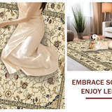 Ultra Soft Area Rug, Non Slip, Stain Resistant, Washable Area Rugs for Living Room, Bedroom, Sophisticated Subtle Beige Hues(Beige)