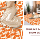 Ultra Soft Area Rug, Non Slip, Stain Resistant, Washable Area Rugs for Living Room, Bedroom, Sophisticated Soft Cream Trellis Style(Orange)