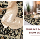 Ultra Soft Area Rug, Non Slip, Stain Resistant, Washable Area Rugs for Living Room, Bedroom, Elegant Floral Paisley Aesthetic(Black)