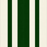 Contemporary Striped Beige Dark Green Area(Green)