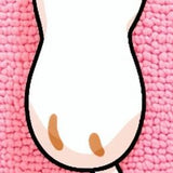 Ultra Soft Area Rug, Non Slip, Stain Resistant, Washable Area Rugs for Living Room, Bedroom, Irregular Tufted Cat Shaped Area Rug Decor(Pink)