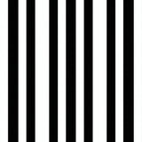 Ultra Soft Area Rug, Non Slip, Stain Resistant, Washable Area Rugs for Living Room, Bedroom, Modern Stripe Symphony Rug Black & White Geometric Floor Covering(Black)