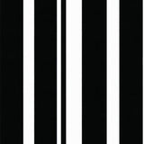 Sleek Transitional Graphic Elements(Black)