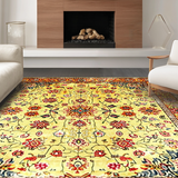Ultra Soft Area Rug, Non Slip, Stain Resistant, Washable Area Rugs for Living Room, Bedroom, Contemporary Bright Floral Delight(Gold)