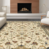 Ultra Soft Area Rug, Non Slip, Stain Resistant, Washable Area Rugs for Living Room, Bedroom, Sophisticated Subtle Beige Hues(Beige)