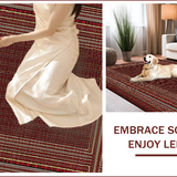Ultra Soft Area Rug, Non Slip, Stain Resistant, Washable Area Rugs for Living Room, Bedroom, Elegant Warm Tones Design(Red)