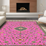 Ultra Soft Area Rug, Non Slip, Stain Resistant, Washable Area Rugs for Living Room, Bedroom, Minimalist Geometric Soft Tones(Pink)