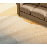 Ultra Soft Area Rug, Non Slip, Stain Resistant, Washable Area Rugs for Living Room, Bedroom, Hand-Woven Neutral Gradient Living Room Rug(Beige)