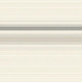 Ultra Soft Area Rug, Non Slip, Stain Resistant, Washable Area Rugs for Living Room, Bedroom, Contemporary Beige Area Linear Stripe(Beige)
