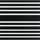 Ultra Soft Area Rug, Non Slip, Stain Resistant, Washable Area Rugs for Living Room, Bedroom, Modern Monochrome Linear Rug Washable Reversible Contemporary Decor(Black)