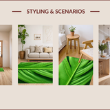 Ultra Soft Area Rug, Non Slip, Stain Resistant, Washable Area Rugs for Living Room, Bedroom, Tropical Leaf Velvet Runner(Green)