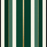 Contemporary Dark Green Aesthetic(Green)