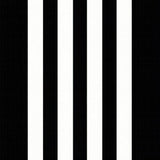 Stylish Minimalist Linear Arrangement(Black)