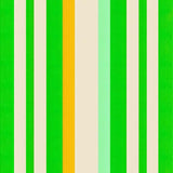 Contemporary Shaggy Green Delight(Green)