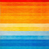 Ultra Soft Area Rug, Non Slip, Stain Resistant, Washable Area Rugs for Living Room, Bedroom, Artistic Contemporary Rainbow Flow(Orange)