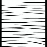 Chic Zebra Inspired Aesthetic(Black)