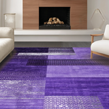 Ultra Soft Area Rug, Non Slip, Stain Resistant, Washable Area Rugs for Living Room, Bedroom, Cozy Plush Textured Accent Piece(Purple)