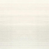 Ultra Soft Area Rug, Non Slip, Stain Resistant, Washable Area Rugs for Living Room, Bedroom, Rustic Textured Ombre Design(Beige)
