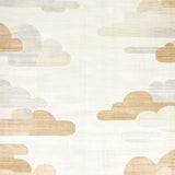 Ultra Soft Area Rug, Non Slip, Stain Resistant, Washable Area Rugs for Living Room, Bedroom, Boho Chic Beige Cloud(Beige)
