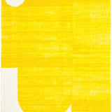 Ultra Soft Area Rug, Non Slip, Stain Resistant, Washable Area Rugs for Living Room, Bedroom, Playful Modern Geometric Motif(Yellow)