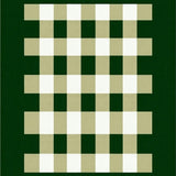 Ultra Soft Area Rug, Non Slip, Stain Resistant, Washable Area Rugs for Living Room, Bedroom, Sleek Minimalist Grid Formation(Green)