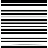 Ultra Soft Area Rug, Non Slip, Stain Resistant, Washable Area Rugs for Living Room, Bedroom, Modern Stripe Harmony Rug Minimalist Lines Contrasting Bands Contemporary Decor(Gray)