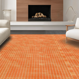 Ultra Soft Area Rug, Non Slip, Stain Resistant, Washable Area Rugs for Living Room, Bedroom, Elegant Minimalist Shag Design(Orange)