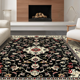 Ultra Soft Area Rug, Non Slip, Stain Resistant, Washable Area Rugs for Living Room, Bedroom, Dramatic Black Ivory Geometric Fusion(Black)