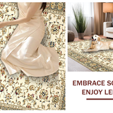 Ultra Soft Area Rug, Non Slip, Stain Resistant, Washable Area Rugs for Living Room, Bedroom, Elegant Soft Earthy Palette(Beige)