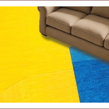 Ultra Soft Area Rug, Non Slip, Stain Resistant, Washable Area Rugs for Living Room, Bedroom, Contemporary Box Pattern Home Office Carpet(Yellow)