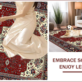 Ultra Soft Area Rug, Non Slip, Stain Resistant, Washable Area Rugs for Living Room, Bedroom, Elegant Colorful Symmetrical Design(Red)