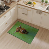 Shaggy Highland Cow on Green Rug