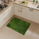 Lush Moss Green Shag Area Rug