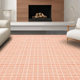 Ultra Soft Area Rug, Non Slip, Stain Resistant, Washable Area Rugs for Living Room, Bedroom, Sophisticated Earth Tones Motif(Orange)