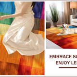 Ultra Soft Area Rug, Non Slip, Stain Resistant, Washable Area Rugs for Living Room, Bedroom, Modern Farmhouse Burnt Orange Living Room Carpet(Blue)