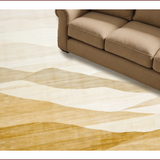 Ultra Soft Area Rug, Non Slip, Stain Resistant, Washable Area Rugs for Living Room, Bedroom, Elegant Neutral Tone Gradation(Beige)