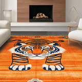 Ultra Soft Area Rug, Non Slip, Stain Resistant, Washable Area Rugs for Living Room, Bedroom, Whimsical Tibetan Style Floor Decor(Orange)