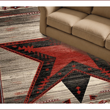 Ultra Soft Area Rug, Non Slip, Stain Resistant, Washable Area Rugs for Living Room, Bedroom, Vintage Rustic Starburst Aesthetic(Gray)