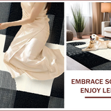 Ultra Soft Area Rug, Non Slip, Stain Resistant, Washable Area Rugs for Living Room, Bedroom, Contemporary Black Ivory Aesthetic(Black)
