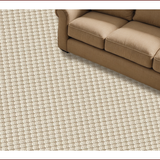 Ultra Soft Area Rug, Non Slip, Stain Resistant, Washable Area Rugs for Living Room, Bedroom, Loop-and-Cut Tufted Cotton(Beige)