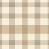 Ultra Soft Area Rug, Non Slip, Stain Resistant, Washable Area Rugs for Living Room, Bedroom, Elegant Beige and Sand Toned Checkered with Layered Plaid Stripes(Beige)