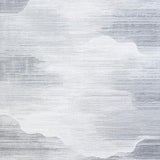 Elegant Solid Cloud Gray Texture(Gray)