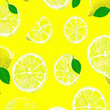 Ultra Soft Area Rug, Non Slip, Stain Resistant, Washable Area Rugs for Living Room, Bedroom, Bright Fruity Abstract Design(Yellow)