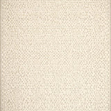 Ultra Soft Area Rug, Non Slip, Stain Resistant, Washable Area Rugs for Living Room, Bedroom, Elegant Cheetah Print Area Modern Geometric Design(Beige)
