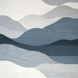 Ultra Soft Area Rug, Non Slip, Stain Resistant, Washable Area Rugs for Living Room, Bedroom, Modern Wavy Stripe Area Rug with Abstract Grey and Blue Flowing Lines(Gray)