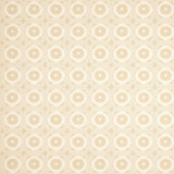 Ultra Soft Area Rug, Non Slip, Stain Resistant, Washable Area Rugs for Living Room, Bedroom, Contemporary Entryway Beige(Beige)