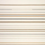 Ultra Soft Area Rug, Non Slip, Stain Resistant, Washable Area Rugs for Living Room, Bedroom, Door Mat with Minimalist Striped Design for Back Doors(Beige)