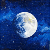 Celestial Blue Toned Elegance(Blue)