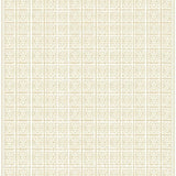 Timeless Trellis Beige Lattice Indoor Area(Beige)
